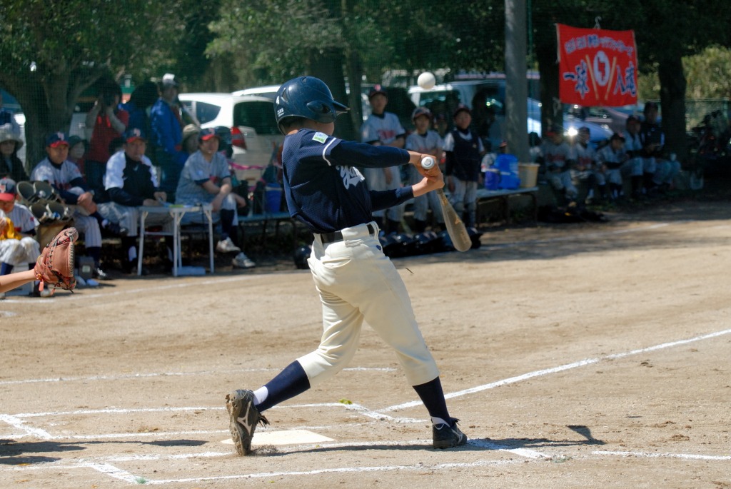 13A_2371.jpg