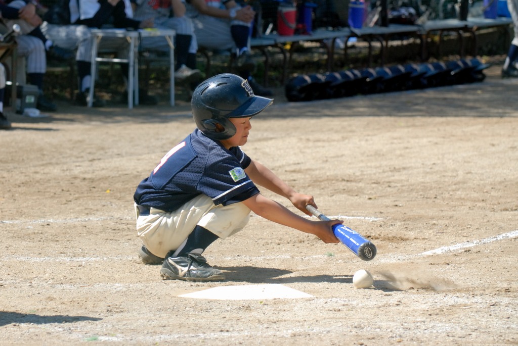 13A_2533.jpg