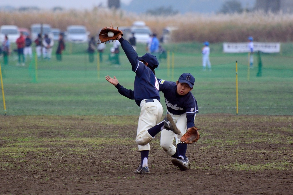 13C_2239.jpg
