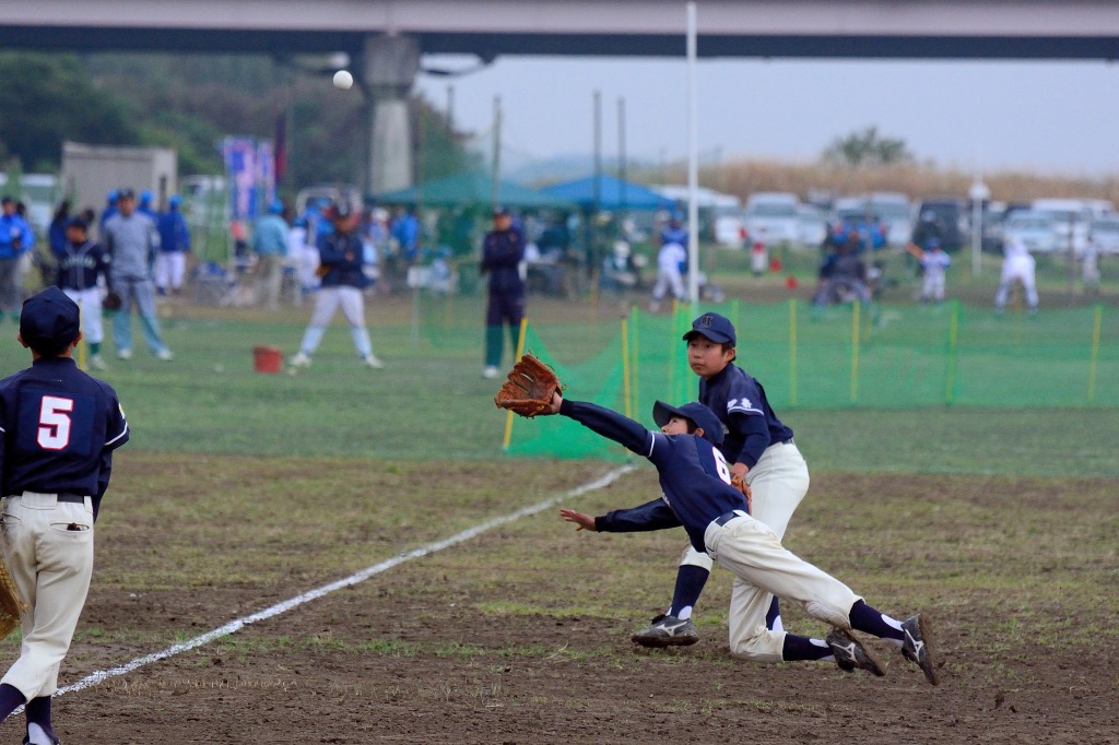 13C_2381.jpg