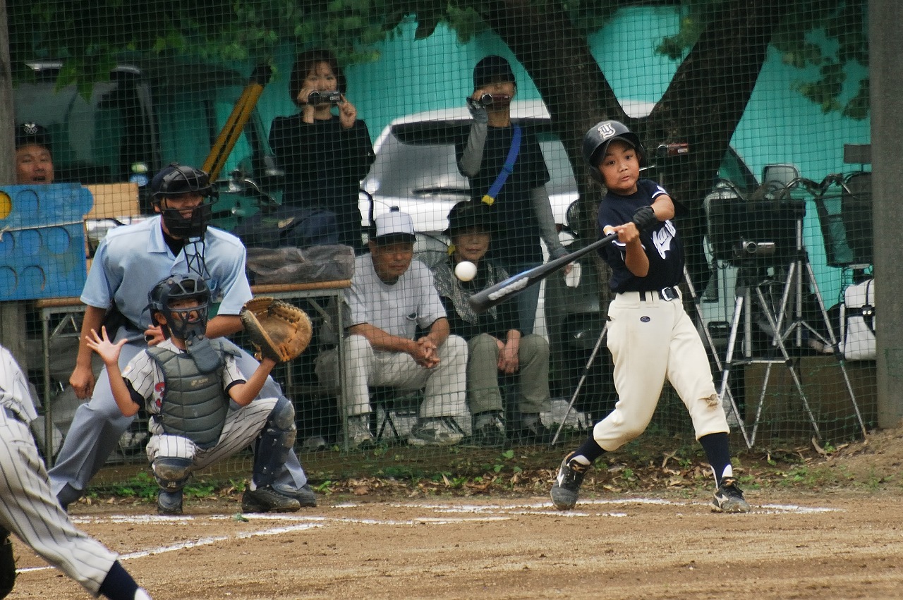 N11_8500.jpg