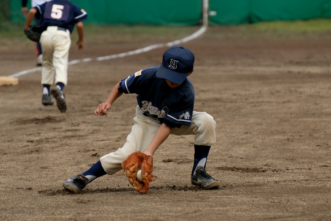 11A_3472.jpg