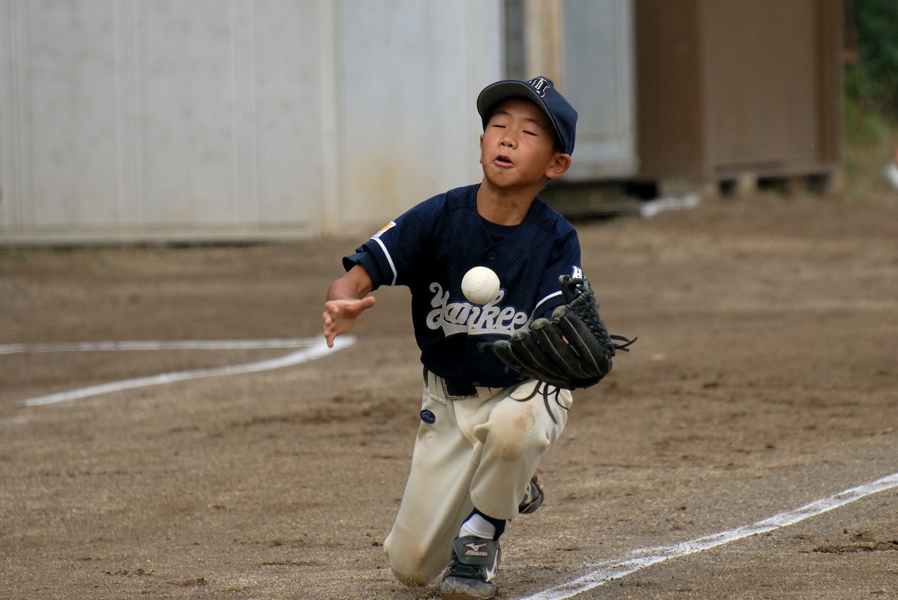 11A_3494.jpg